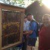 2015 Besuch Bienenpfad Nenzlingen